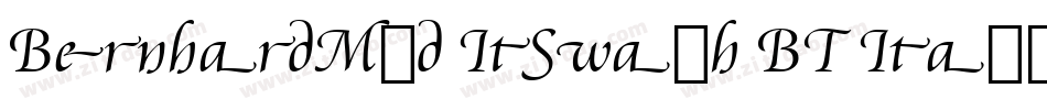 BernhardMod ItSwash BT Italic Swash字体转换